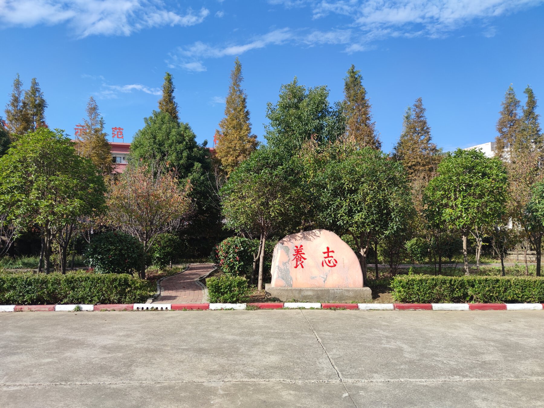 校园养志景观石与树木